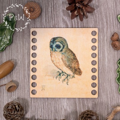 Thread Organizer “Little Owl by Albrecht Durer”