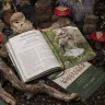 “Owlforest Traditional Embroidery” Book in Russian