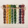 Set of OwlForest Hand-Dyed Threads for the “Gooseberry Summer” Chart (DMC)