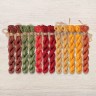 Set of OwlForest Hand-Dyed Threads for the “Flying Ship. Day” Chart (DMC)