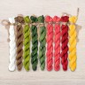 Set of OwlForest Hand-Dyed Threads for the “Harvest Season. Tomatoes” Chart (Thread Trade n.a. Kirov)