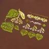 Digital Embroidery Chart “Medicinal Herbs”