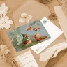 “Fluffy Tails” Postcard Set  