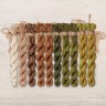 Set of OwlForest Hand-Dyed Threads for the “Hazelnut” Chart (DMC)