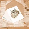 Набор открыток «Тёплые коты»