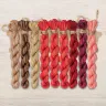 Set of OwlForest Hand-Dyed Threads for the “Glorious Leopard” Chart (DMC)