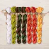 Set of OwlForest Hand-Dyed Threads for the “Carrot Forest” Chart (DMC)