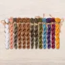 Set of OwlForest Hand-Dyed Threads for the “Nightingale the Robber's Hobby” Chart (DMC)