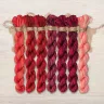 Set of OwlForest Hand-Dyed Threads for the Embroidery Chart “Pomegranate Quaker” (DMC)
