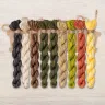 Set of OwlForest Hand-Dyed Threads for the “Leshy” or “Wood Spirit” Chart (DMC)