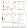 Схема для вышивания «Снеговики на каникулах»