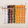 Set of OwlForest Hand-Dyed Threads for the “Fox” Chart (DMC)