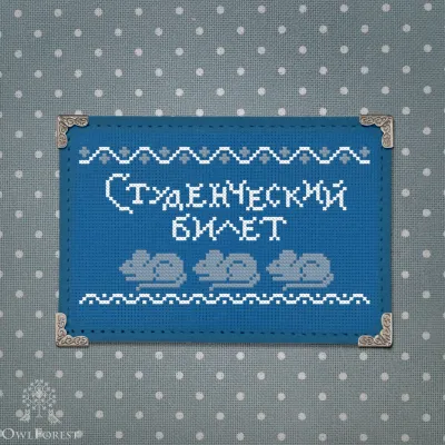 Студенческий билет Академии им. совы Дуси