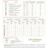 Электронная схема «Чечётки»
