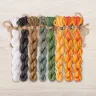 Set of OwlForest Hand-Dyed Threads for “Seabuckthorn Summer” Chart (DMC)