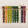Set of OwlForest Hand-Dyed Threads for the “Gooseberry Summer” Chart (DMC)