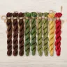 Set of OwlForest Hand-Dyed Threads for the “Transfigured Forest” Chart (Thread Trade n.a. Kirov)
