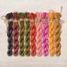 Set of OwlForest Hand-Dyed Threads for the “Rosehip Summer” Chart (DMC)