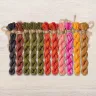 Set of OwlForest Hand-Dyed Threads for the “Rosehip Summer” Chart (DMC)
