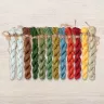 Set of OwlForest Hand-Dyed Threads for the “Toadstool Land” Chart (DMC)