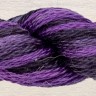 3426 — Purple Iris