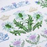 Embroidery kit “King Thistle”