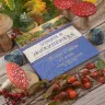 Книга «Путеводитель по Филинграду»
