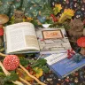 Книга «Путеводитель по Филинграду»