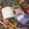 Книга «Путеводитель по Филинграду»