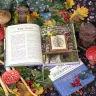 Книга «Путеводитель по Филинграду»