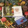 Книга «Путеводитель по Филинграду»