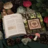 Книга «Путеводитель по Филинграду»
