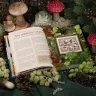 Книга «Путеводитель по Филинграду»