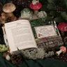 Книга «Путеводитель по Филинграду»