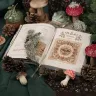 Книга «Путеводитель по Филинграду»
