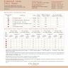 Книга «Путеводитель по Филинграду»