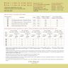 Книга «Путеводитель по Филинграду»