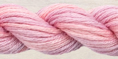 2508 — Pink Marguerite