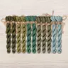 Set of OwlForest Hand-Dyed Threads for the “Turtle Quaker” Chart (DMC)