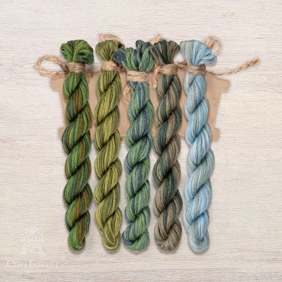 Set of OwlForest Hand-Dyed Threads for the “Turtle Quaker” Chart (Thread Trade n.a. Kirov)