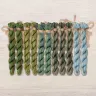 Set of OwlForest Hand-Dyed Threads for the “Turtle Quaker” Chart (Thread Trade n.a. Kirov)