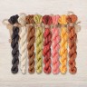 Set of OwlForest Hand-Dyed Threads for the “Autumn Cats” Chart (DMC)