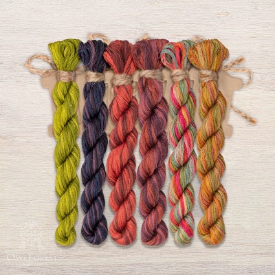 Set of OwlForest Hand-Dyed Threads for the “Grape Summer” Chart (DMC)